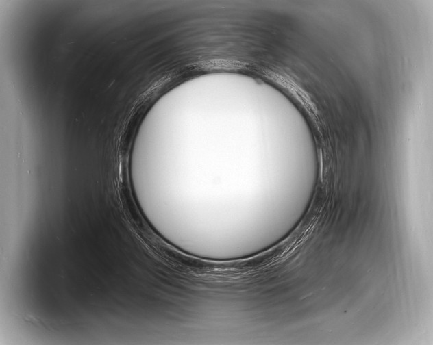 X0000098230157200804241208