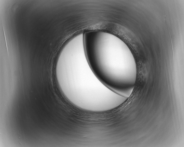 X0000098230164200804241209