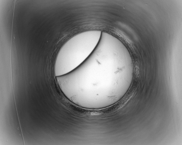 X0000098230165200804241209