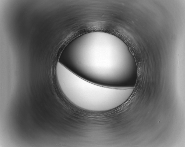 X0000098230168200804241209