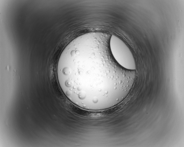 X0000098230169200804241209