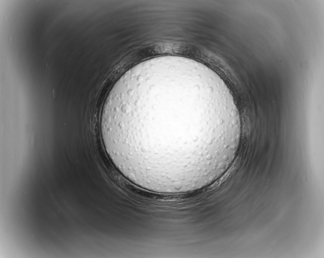 X0000098230171200804241209