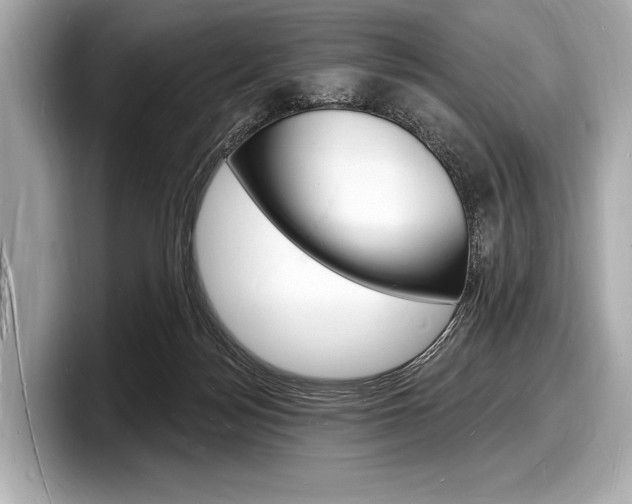 X0000098230172200804241209