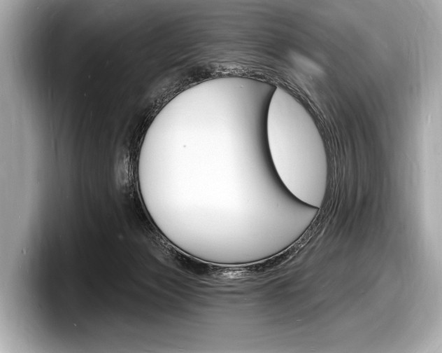 X0000098230173200804241209