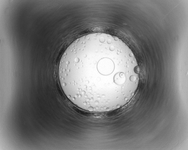 X0000098230175200804241209