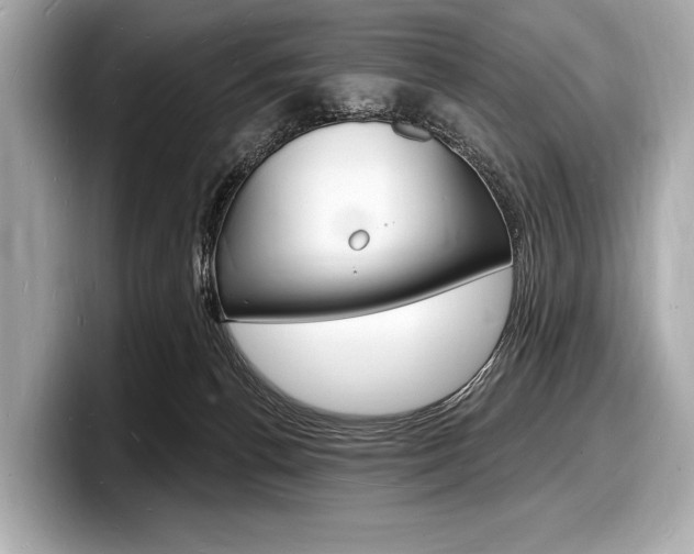 X0000098230176200804241209