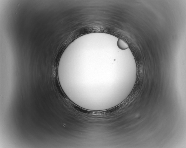 X0000098230177200804241209