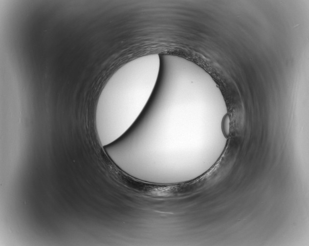X0000098230178200804241209