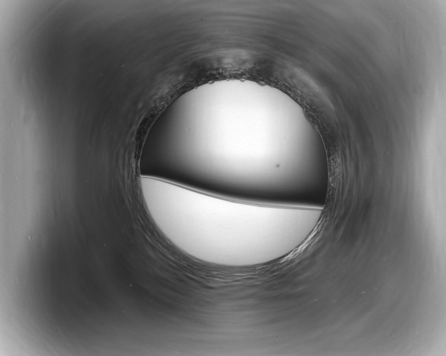 X0000098230184200804241209