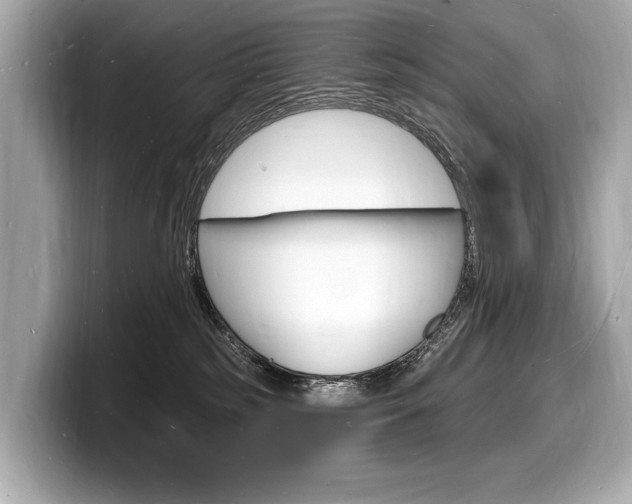 X0000098230185200804241209