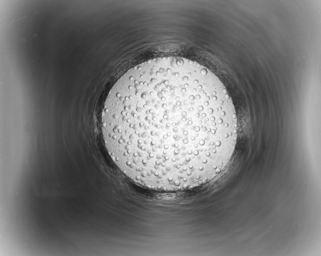 X0000098230187200804241209