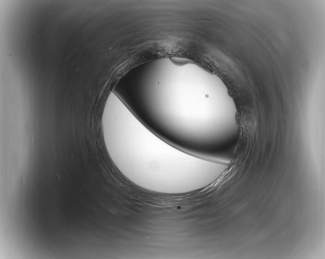 X0000098230188200804241209