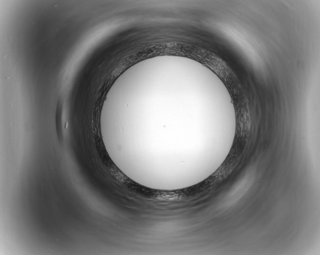 X0000098230189200804241209