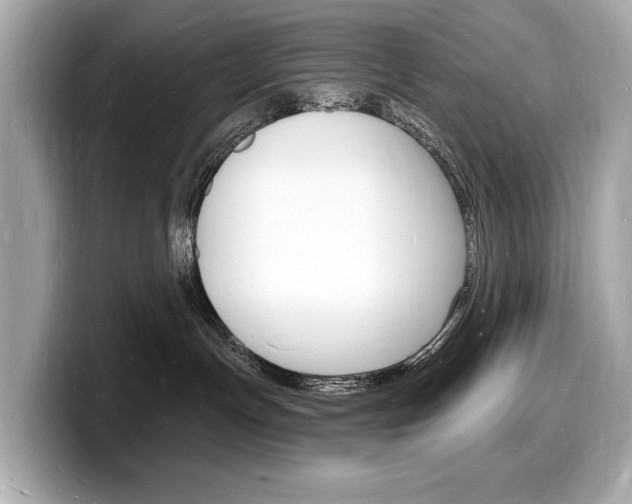 X0000098230191200804241209