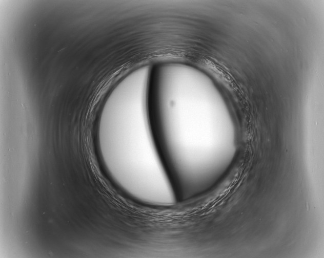 X0000098230193200804241208