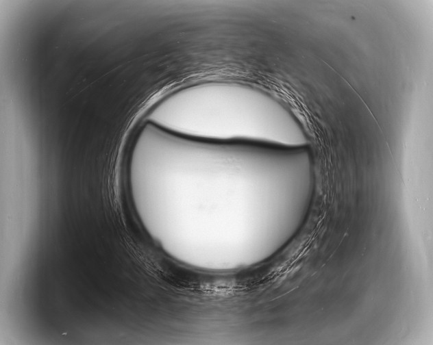 X0000098230196200804241208