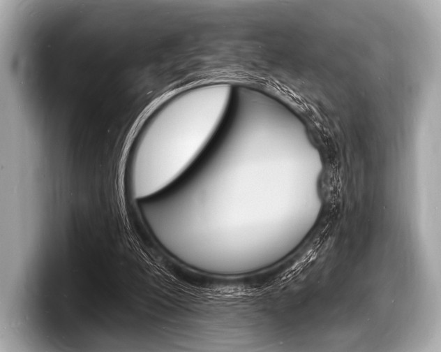 X0000098230200200804241208