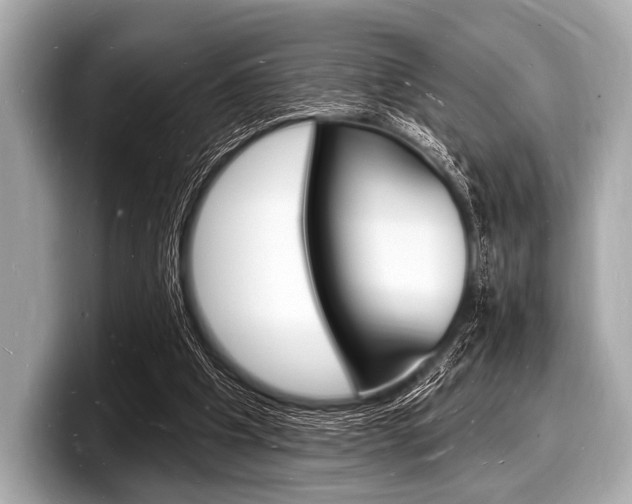 X0000098230201200804241208
