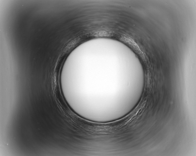 X0000098230202200804241208