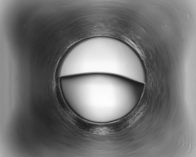 X0000098230203200804241208