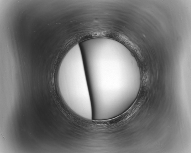 X0000098230209200804241208