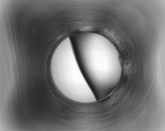 X0000098230211200804241208