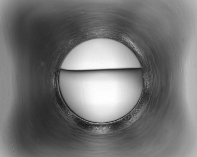 X0000098230213200804241208