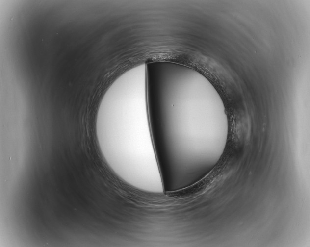 X0000098230219200804241208