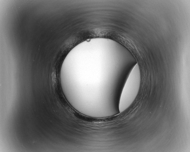 X0000098230220200804241208