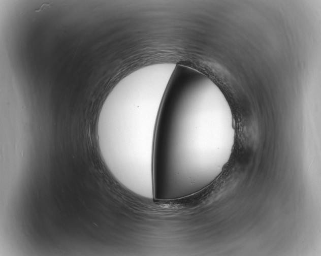 X0000098230221200804241208