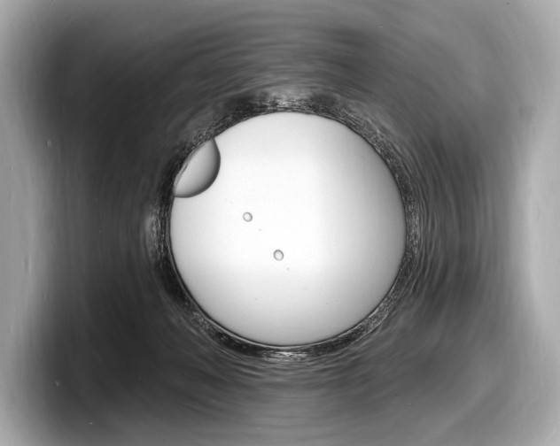 X0000098230222200804241208