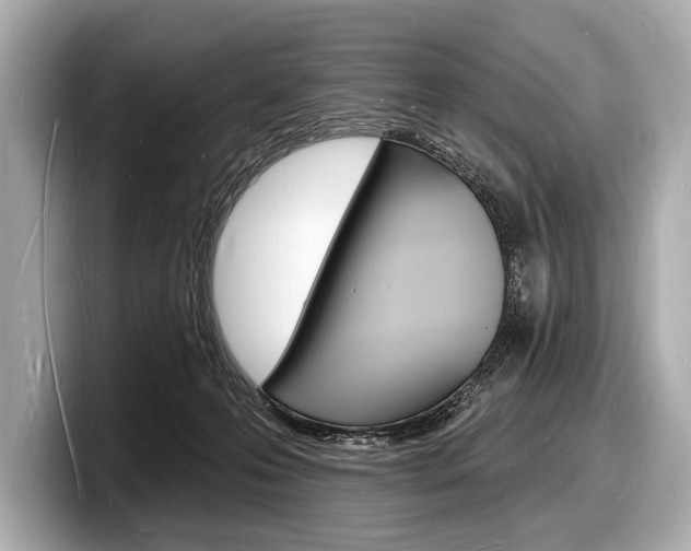 X0000098230223200804241208