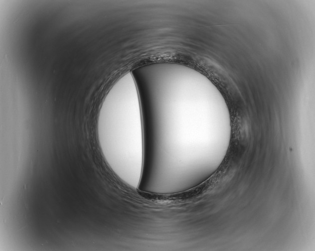 X0000098230224200804241208