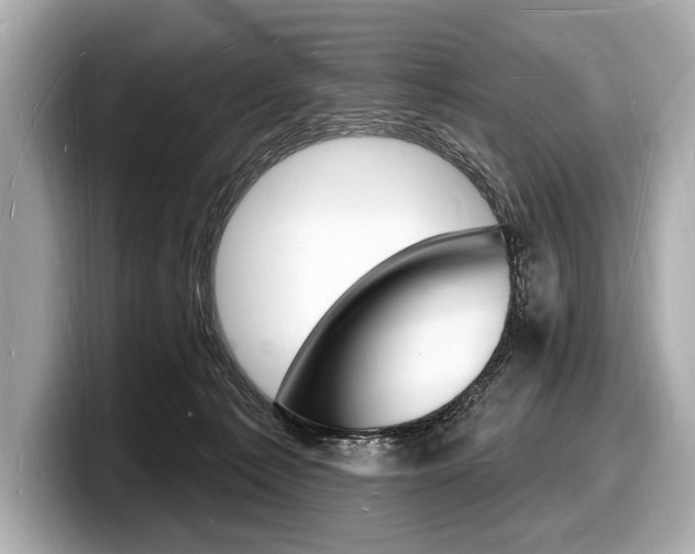 X0000098230225200804241208
