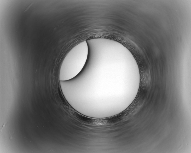 X0000098230226200804241208