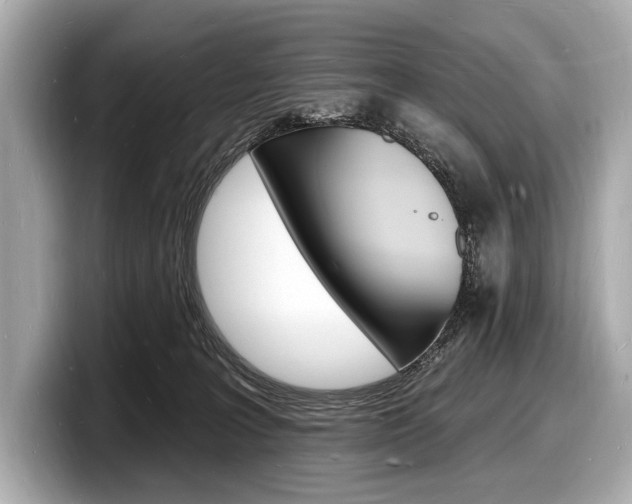 X0000098230227200804241208