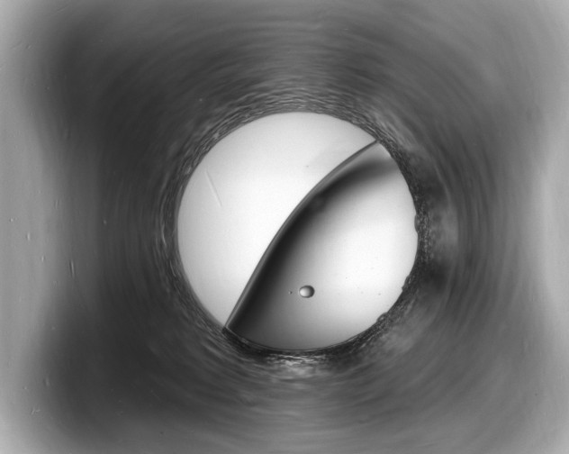 X0000098230229200804241208