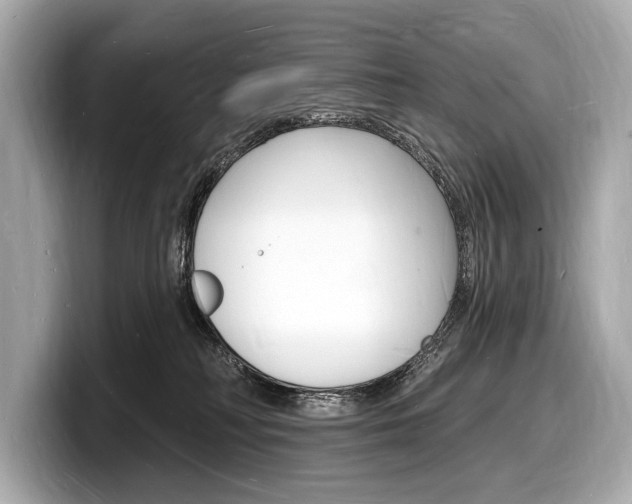 X0000098230230200804241208