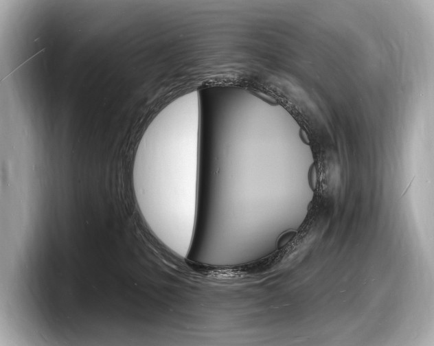 X0000098230231200804241208