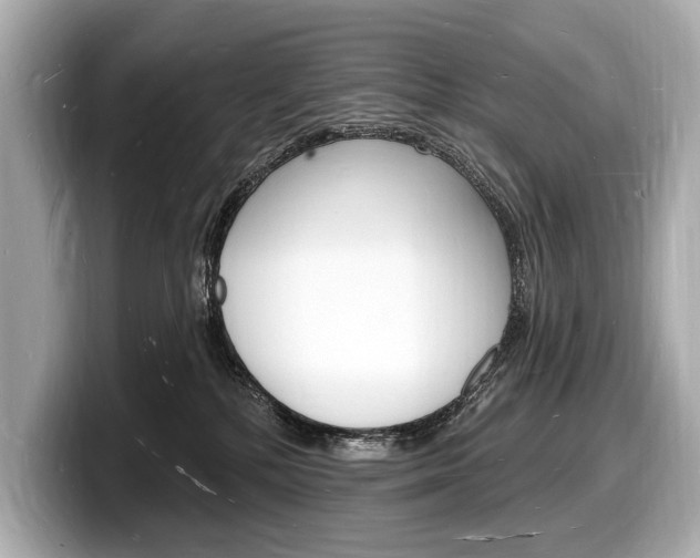 X0000098230232200804241208