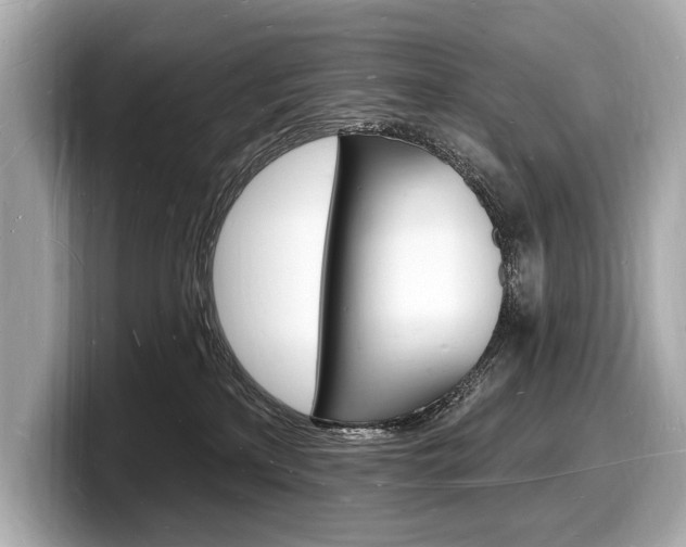 X0000098230233200804241208