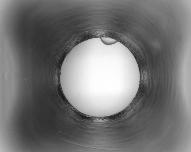 X0000098230234200804241208