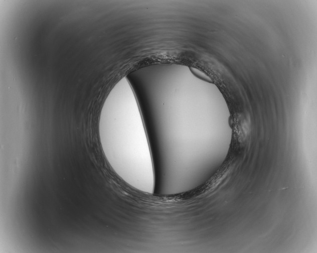 X0000098230235200804241208
