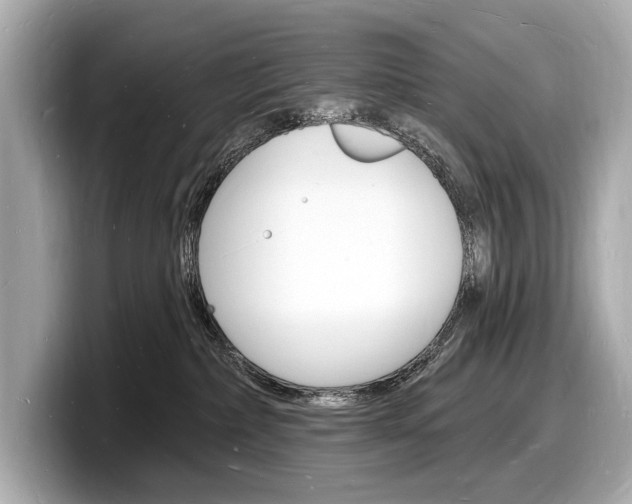 X0000098230236200804241208