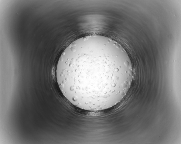 X0000098230238200804241208