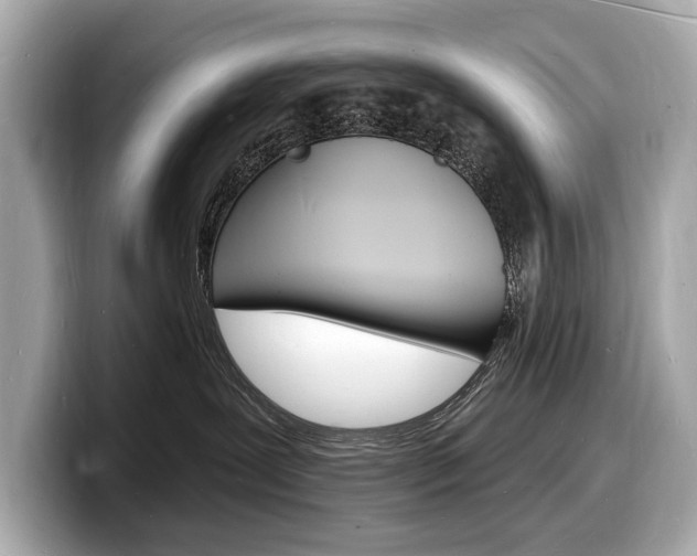 X0000098230239200804241208