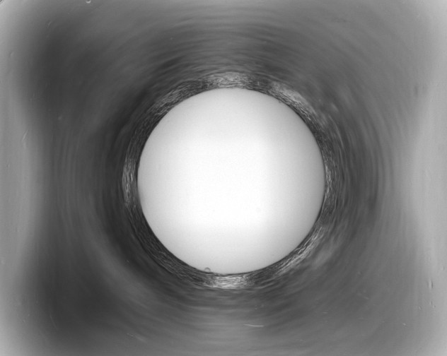 X0000098230240200804241208