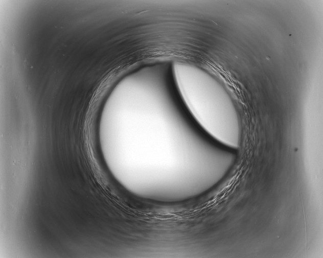 X0000098230241200804241207
