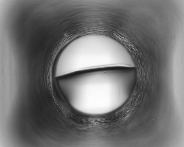X0000098230242200804241207