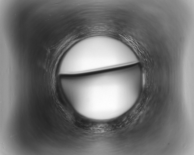 X0000098230243200804241207